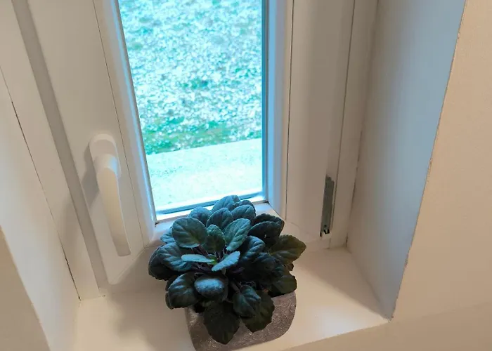 Apartman Maglak